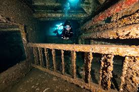 Image result for Exe To Sea Diving