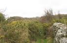 SH5466 : Spreading gorse threatens to choke the path - via Daymix