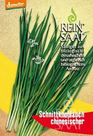 Image result for Schnittknoblauch