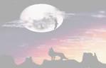 Wolf Moon Wallpapers and Pictures | 18 Items | Page 1 of 1