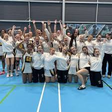 Image result for York University Netball Club
