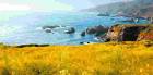 Carmel