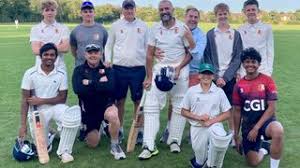 Image result for Theale and Tilehurst Cricket Club