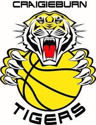 Image result for Everton Tigers Basketball Club