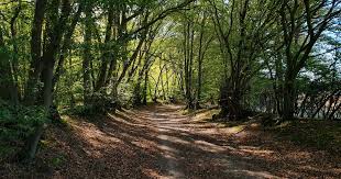 Image result for Staines Ramblers Group