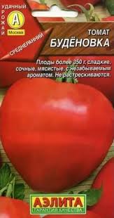 Image result for будёновка