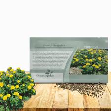 Attēlu rezultāti vaicājumam “Potentilla arenaria bud”