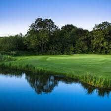 Image result for England Staffordshire Birding Club