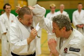 Image result for Tolworth Shorinji Kempo Branch