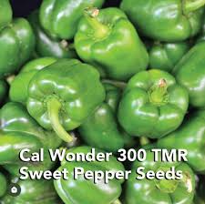 Afbeeldingsresultaat voor california wonder 300 sweet pepper