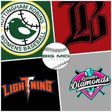 Image result for Thieves - The University Of Nottingham Baseball Club