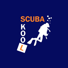 Image result for Scuba Skooling