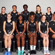 Image result for Verwood Town Netball Club