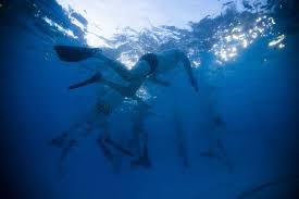 Image result for Caversham Underwater Hockey Club