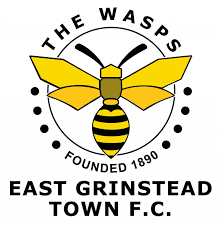 Image result for Wasps Football Club