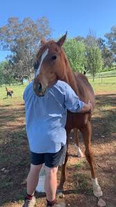 Image result for Bletchingly Badminton Club