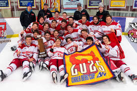 Image result for Cwmbran Hockey Club