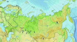 Attēlu rezultāti vaicājumam “Potamogeton rutilus”