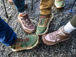 Image result for www.teva.es