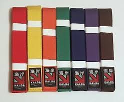 Image result for Midlands PKA Kickboxing