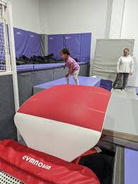 Image result for Stockport School Of Gymnastics