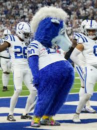 Image result for Hambro Colts Y F C