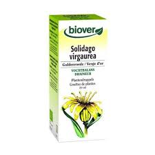 Image result for Solidago virgaurea
