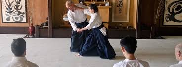 Image result for Durham City Aikikai