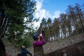 Image result for Porthmadog shooting range