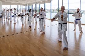 Image result for North Yorkshire Goju Ryu Karate Club