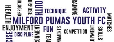 Image result for Milford Pumas Football Club