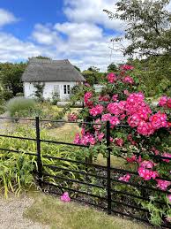 Image result for Winfrith Sac