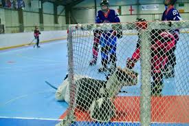 Image result for Dundee Ducks inline roller hockey club