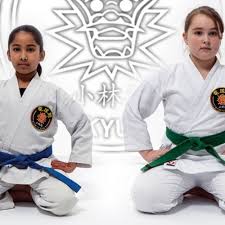 Image result for ZOKU SHOTOKAN KARATE (Baldock)