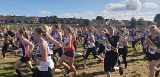Image result for Blackhill Bounders