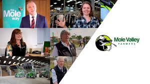 Image result for Mole Valley Bowmen