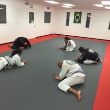 Image result for Guerrero Martial Arts