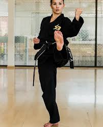 Image result for Bytomic Tae Kwon Do Beaconsfield