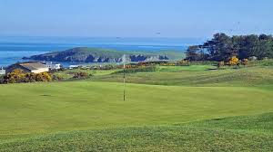 Image result for Cardigan Golf Club