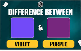 Image result for violet