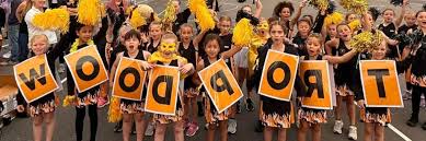 Image result for Knutsford Netball Club