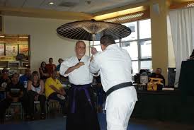 Image result for Ryuko Dojo