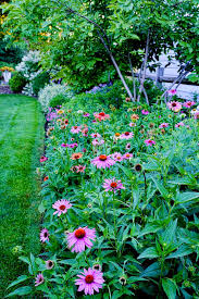 Attēlu rezultāti vaicājumam “Cystiphora sanguinea”