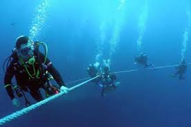 Image result for Leicester Underwater Exploration Club