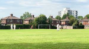 Image result for Appleton Cricket Club