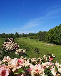Image result for Vale Royal Abbey Golf Club