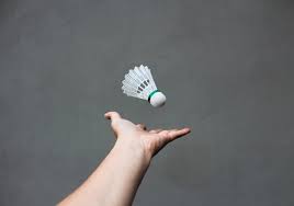 Image result for Cardinals Badminton Club