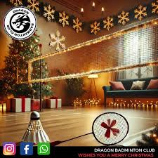 Image result for Wyvern Dragons Junior Badminton Club