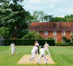 Image result for Ashdon Cricket Club