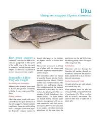 Image result for Aprion virescens